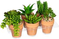 Creativ green Kunst-potplanten Mini-vetplanten in een aarden pot, set van 6