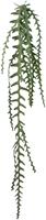 Creativ Green Kunstgirlande Epiphyllumranke, (1 St.)