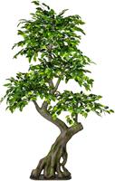 Creativ Green Kunstbaum Ficus Benjamini, (1 St.)