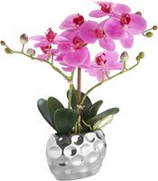 Leonique Kunstpflanze Orchidee, (1 St.), Kunstorchidee, im Topf