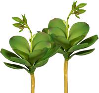 Creativ green Kunstplant Echeveria met bloem set van 3