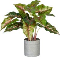 Creativ Green Künstliche Zimmerpflanze Taropflanze, (1 St.), im Melamintopf