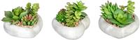 Creativ green Kunst-potplanten Vetplanten-arrangement in cementkom, set van 3