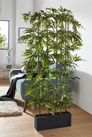 Creativ Green Kunstpflanze Bambus, (1 St.)