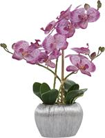 Home affaire Kunstplant Orchidee Kunstorchidee, in een pot