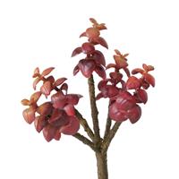 Boltze Kunstpflanzen & -blumen Stielblume Sukkulente 1 Stück (mehrfarbig)