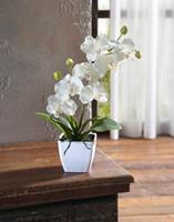 HOME Living Deko-Orchidee SPAR-SET 2x Deko-Orchidee Kunstpflanzen weiß
