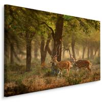 Karo-art Schilderij - Jonge Hertjes in het Bos, Premium Print