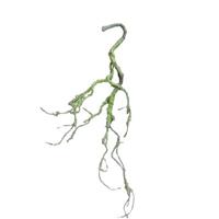 HTI-Living Moos Girlande Hellgrün 70 cm Kunstpflanze Flora