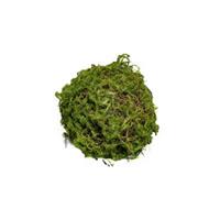 HTI-Living Mooskugel 18 cm Kunstpflanze Flora grün