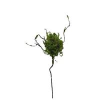 HTI-Living Zweig mit Vogelnest Kunstpflanze Flora grün