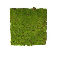 HTI-Living Moosteppich 50 x 50 cm Kunstpflanze Flora grün