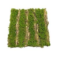 HTI-Living Moosmatte Furche 50 x 50 cm Kunstpflanze Flora grün