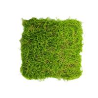 HTI-Living Moosteppich Basteln 50 x 50 cm Kunstpflanze Flora grün