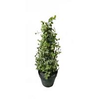 HTI-Living Eukalyptusbäumchen 43 cm Kunstpflanze Flora grün