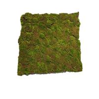 HTI-Living Moosmatte Braun-Grün 50 x 50 cm Kunstpflanze Flora grün