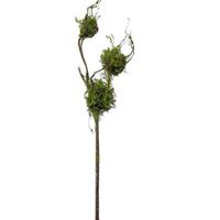 HTI-Living Zweig mit Vogelnestern Kunstpflanze Flora grün