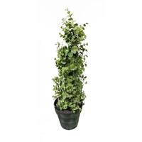 HTI-Living Eukalyptusbäumchen 53 cm Kunstpflanze Flora grün