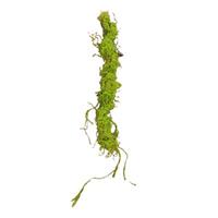 HTI-Living Moos Girlande 110 cm Kunstpflanze Flora grün