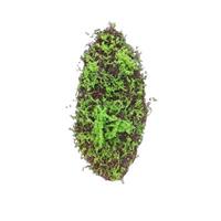 HTI-Living Moosmatte 90 x 30 cm Kunstpflanze Flora grün