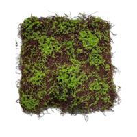 HTI-Living Moosmatte 50 x 50 cm Kunstpflanze Flora grün