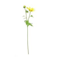 HTI-Living Frühlingsblume 74 cm Kunstblume Flora gelb