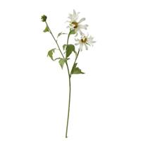 HTI-Living Frühlingsblume 74 cm Kunstblume Flora weiß