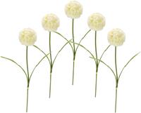 I.Ge.A. Kunstblume Allium, (5 St.), 5er Set