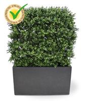 Buxus deluxe kunstheg 80x100cm - UV bestendig