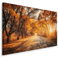 Karo-art Schilderij - Weg door het Herfst Bos, Premium Print, 5 maten