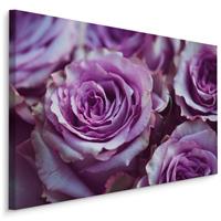 Karo-art Schilderij - Paarse Rozen, Premium Print, 5 maten