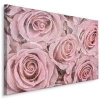 Karo-art Schilderij - Roze Rozen, Vintage afbeelding, Premium Print op Canvas