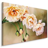 Karo-art Schilderij - Bloeiende Rozen en knoppen, Roze, Premium Print