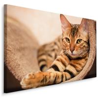 Karo-art Schilderij - Bengaalse Kat, Premium Print, 5 maten