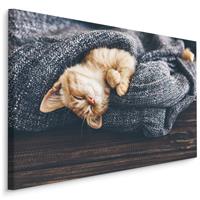 Karo-art Schilderij - Kitten in diepe Slaap, Premium Print, 5 maten