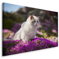 Karo-art Schilderij - Ragdoll Kat tussen de Bloemen, Premium print