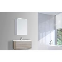 TALOS Mirage Badspiegel 40 x 60 cm - Badezimmerspiegel mit LED Beleuchtung in neutralweiß - Spiegelschrank - silber - 