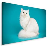 Karo-art Schilderij - Witte Kat met Blauwe achtergrond, Premium print