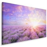 Karo-art Schilderij - Lavendel tot aan de Horizon, paars, Premium Print