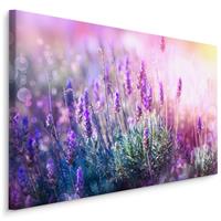 Karo-art Schilderij - Bloeiende Lavendel, Paars, Premium Print