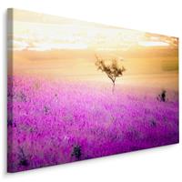 Karo-art Schilderij - Eenzame Boom in een Lavendel Veld, Premium Print