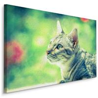 Karo-art Schilderij - Kat in het Groen, Premium Print op Canvas, 5 maten