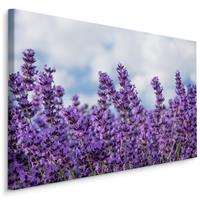 Karo-art Schilderij - Lavendel in het Veld, Premium Print, 5 maten