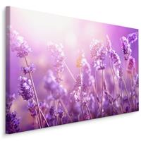 Karo-art Schilderij - Lavendel in de Zon, Paars, Premium Print