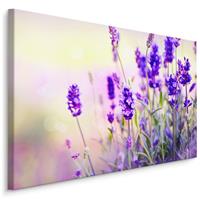 Karo-art Schilderij - Lavendel in het Veld, Premium Print, 5 maten