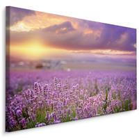 Karo-art Schilderij - Prachtig veld met Lavendel, Paars, Premium Print