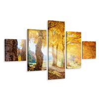 Karo-art Schilderij - Herfst in het bos, 5luik, premium print