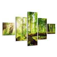 Karo-art Schilderij - Zon door de bomen, 5luik, premium print