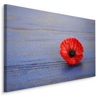 Karo-art Schilderij - Klaproos op blauw hout (print op canvas), premium print