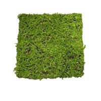 HTI-Living Moosteppich Deko 50 x 50 cm Kunstpflanze Flora grün